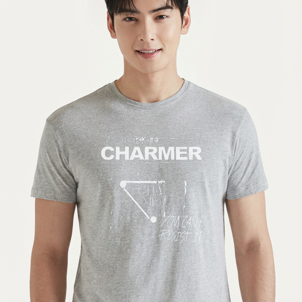 Camiseta camiseta-basica-stray-kids-you-cant-resist-it - Cinza